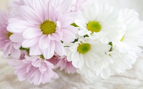 Post 12 Image