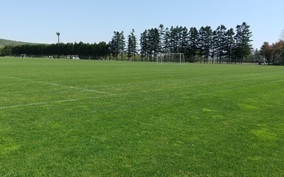 Post 22 Image